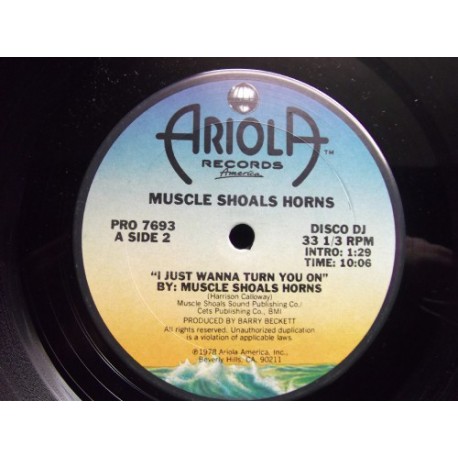Muscle Shoals Horns - I just wanna turn you on / Robert John - Give a little (12" Vinyl Record)