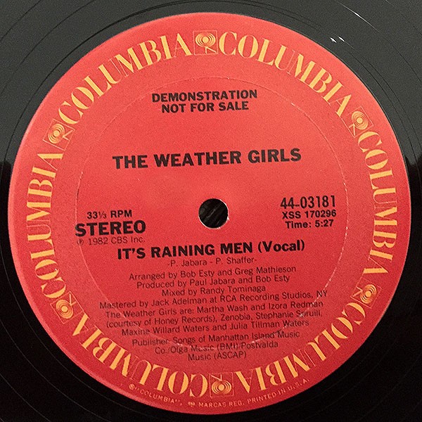 Weather Girls - Its raining men (Vocal mix / Instrumental) 12" Vinyl Record