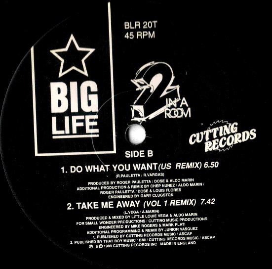 2 In A Room - Do What You Want (Todd Terry UK Mix / Chep Nunez US Mix) / Take Me Away (Vol 1 Remix)  12" Vinyl Record