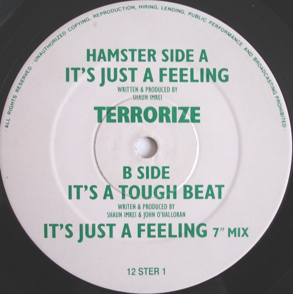 Terrorize - Its just a feeling (Original mix / 7inch mix / Its A Tough Beat mix) 12" Vinyl Record