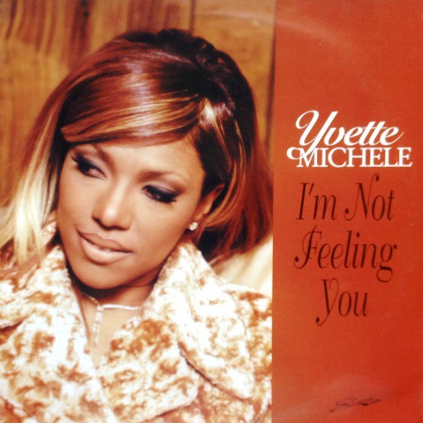 Yvette Michele - Im not feeling you (Main Mix / Inst / Acappella / Buttafingerz Vocal / Buttafingerz Dub) 12" Vinyl Record