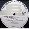 Shakatak - Watching you (Long Version) / Bitch to the boys (Live in Japan) / Rio nights (Percussion mix) 12" Vinyl Record Promo