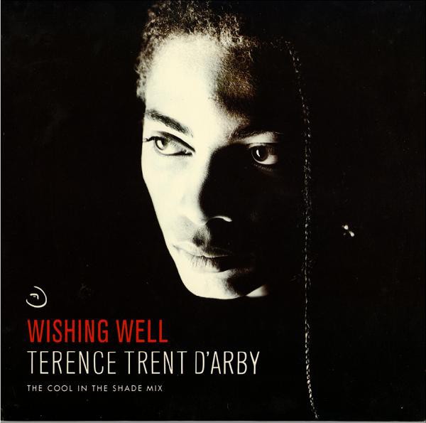 Terence Trent Darby - Wishing well (Francios Kevorkian Cool In The Shade mix) plus 2 (12" Vinyl Record)