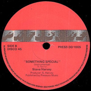 Steve Harvey - Something special (Original mix / Instrumental) 12" Vinyl Record