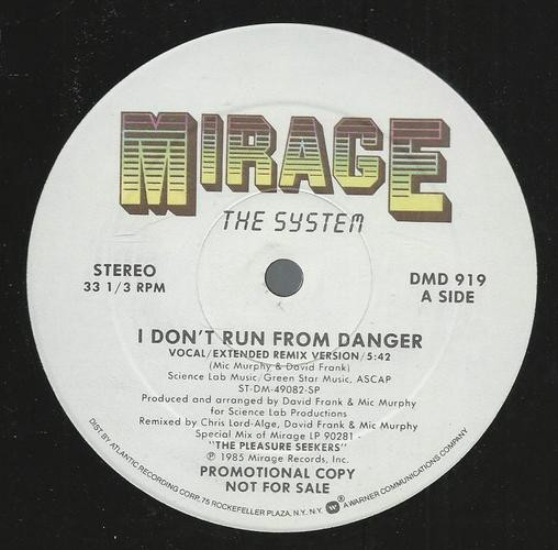 System - I don't run from danger (Extended Vocal Remix / Dub Version) 12" Vinyl Record