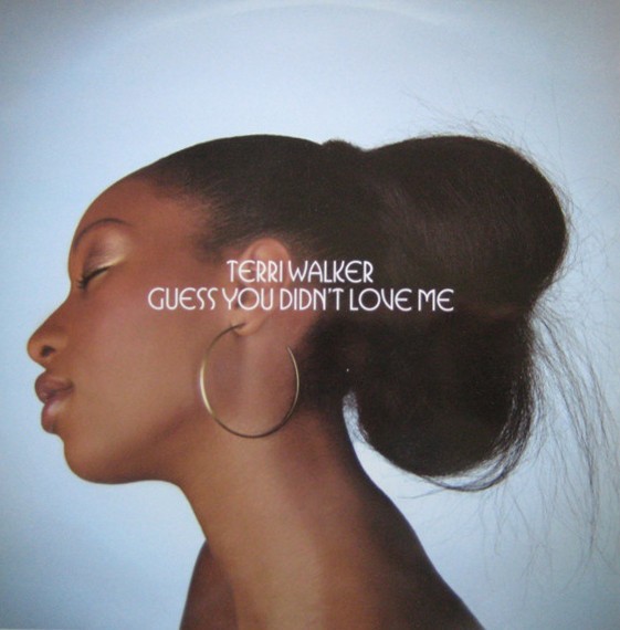 Terri Walker - Guess you dont love me (Radio Edit Without Rap / LP Version With Rap / Inst / Acappella) 12" Vinyl Record Promo