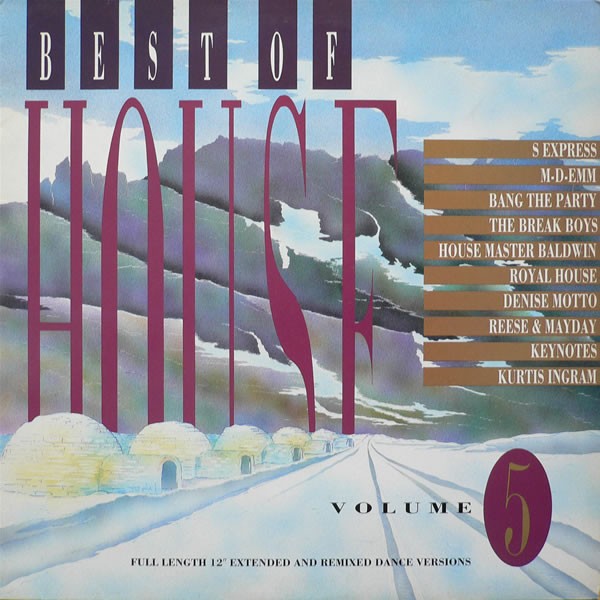 Best Of House Volume 5 - Inc S Express - Theme from S Express & Bang The Party - Release your body (10 Track Vinyl LP Record)