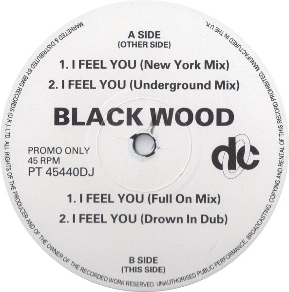 Blackwood - I feel you (New York mix / Full On mix / Underground mix / Drown In Dub) 12" Vinyl Record Promo