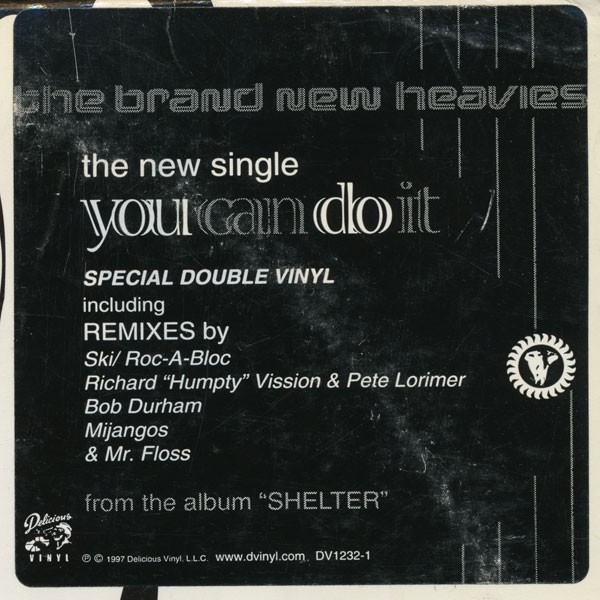 Brand New Heavies - You can do it (11 Remixes on US Doublepack) 12" Vinyl Record