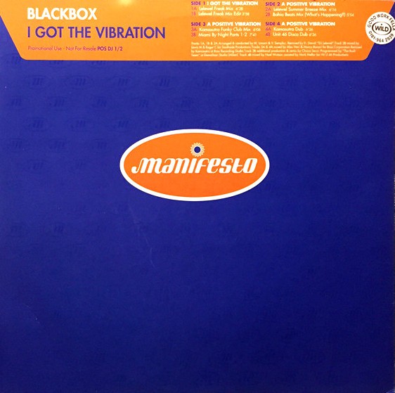 Blackbox - I got the vibration (8 Kamasutra and DJ Lelewel Mixes) 12" Vinyl Record Doublepack Promo