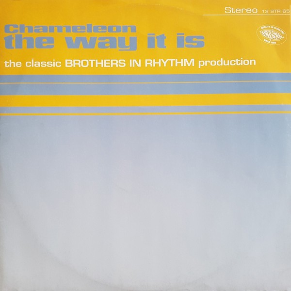 Chameleon - The way it is (2 Brothers In Rhythm Mixes / Full Acapella) 12" Vinyl Record