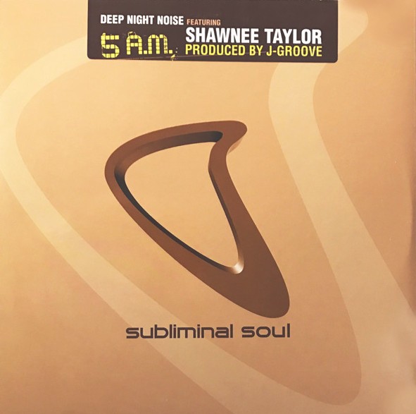 Deep Night Noise feat Shawnee Taylor - 5am (After Hours Vocal mix / 5am Dub) 12" Vinyl Record