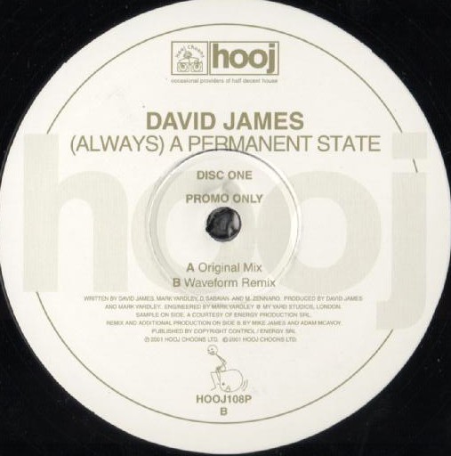 David James - (Always) A permanent state (Original mix / Waveform Remix) 12" Vinyl Record Promo