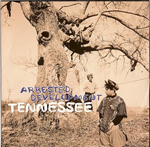 Arrested Development - Tennessee (The mix / The Remix / The Dubb) / Natural (Original) 12" Vinyl Record