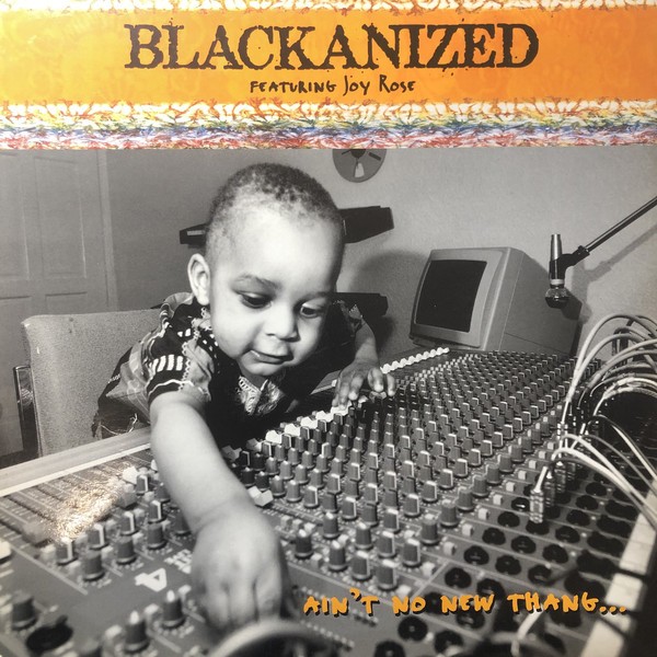 Blackanized featuring Joy Rose - Aint no new thang (LP & Supa-natural mix) / Ecology (12" Vinyl Record)