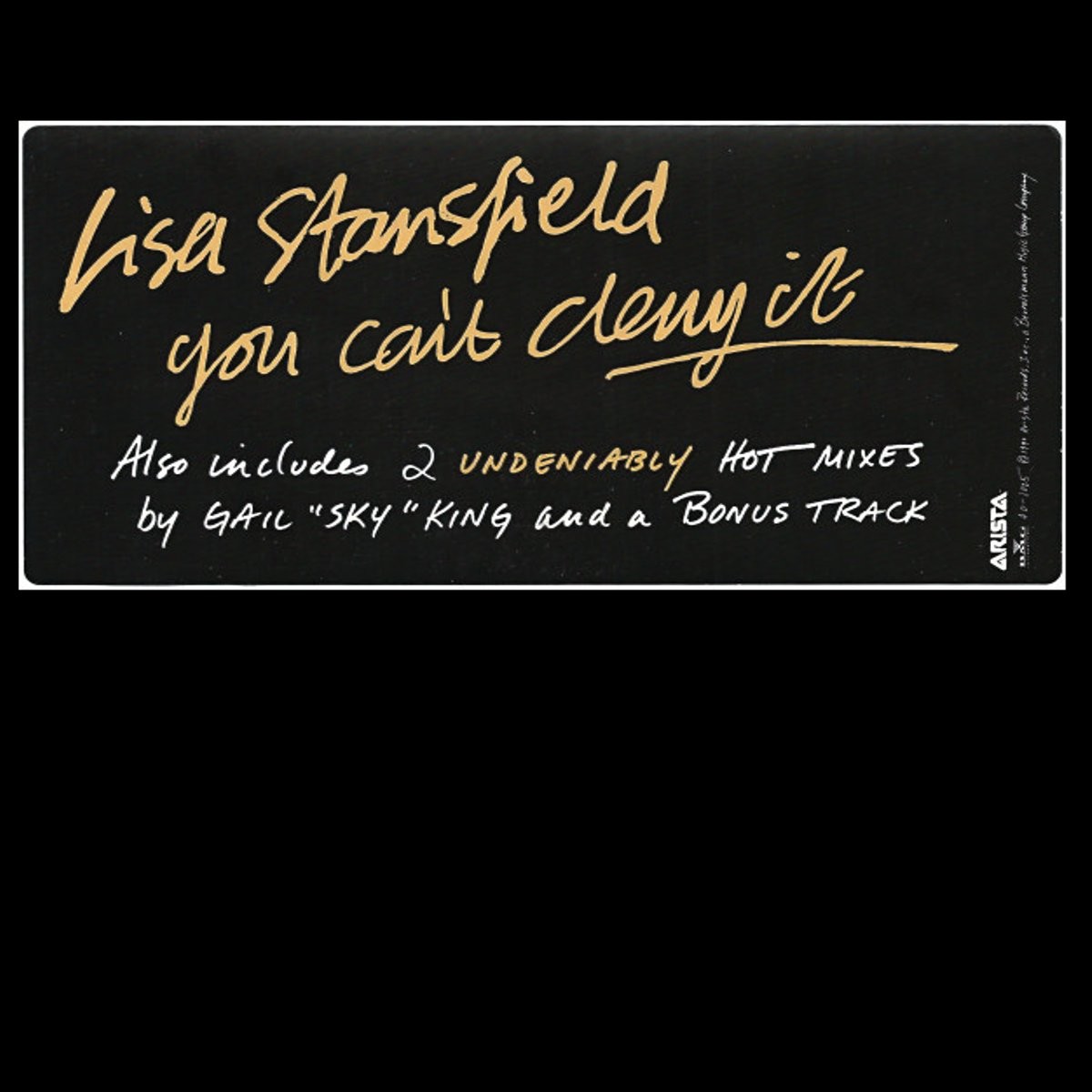 Lisa Stansfield - You cant deny it (Extended Mix / Single Mix / Gail Sky King Remix) / Lay me down (Original) 12" Vinyl Record
