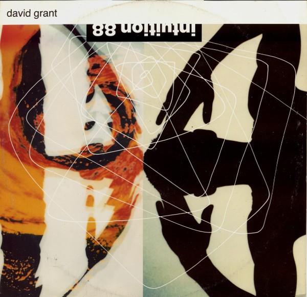 David Grant - Intuition (Assassins With Soul 1988 Remix / Assassins With Soul Summer Breeze Dub / AWS Radio Edit) Vinyl