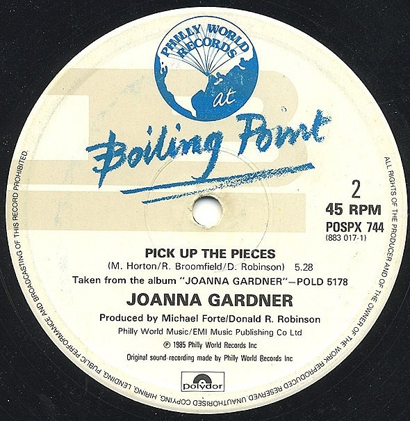 Joanna Gardner - Pick up the pieces (Long Version) / Watching you (Extended Remix) 12" Vinyl Record