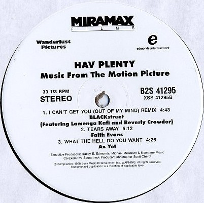 Hav Plenty (The Soundtrack) - 2LP featuring Blackstreet "I cant get you out of my mind" remix / Faith Evans "Tears away"
