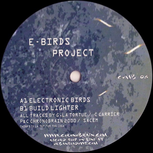 E Birds Project - Electronic birds / Build lighter (12" Vinyl Record)