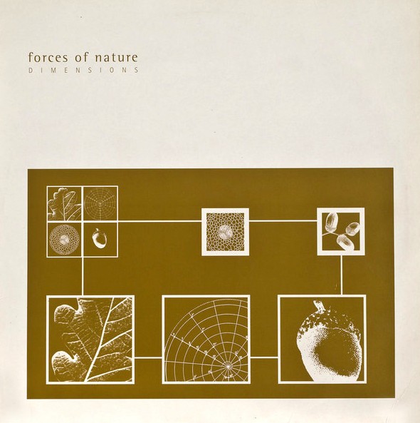 Forces Of Nature - Dimentions (2 mixes) / Interlude (12" Vinyl Record)