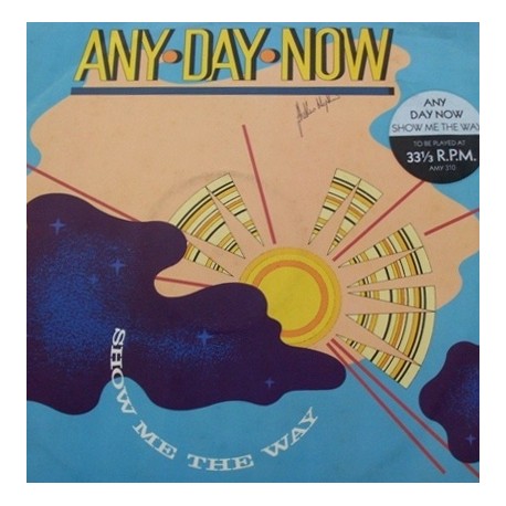 Any Day Now - Show Me The Way (Grand Groove / Shock Tactics / No Derek)