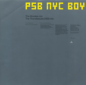 Pet Shop Boys - New York city boy (David Morales & Thunderpuss 2000 remixes) 12" Vinyl Record Promo