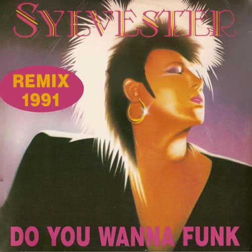 Sylvester - Do you wanna funk (Italian B Boy Remix / Instrumental House mix) Vinyl 12" Record