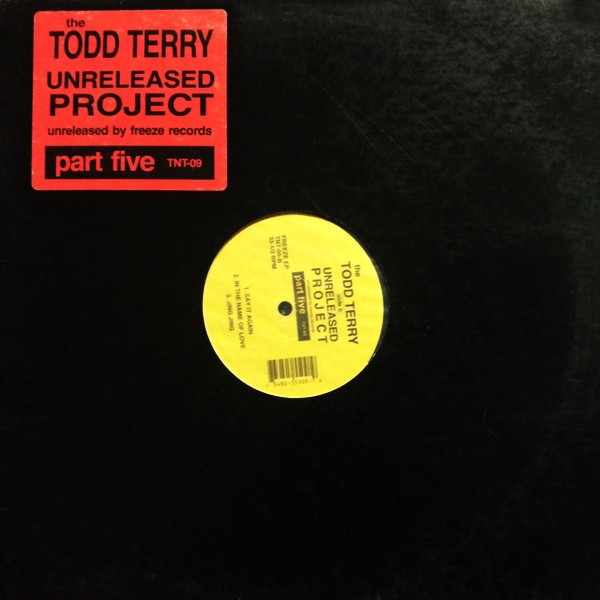 Todd Terry - Unreleased Project Part 5 featuring Feel it (Can you party Remix) / Just wanna bang / Jing jing / Nitty gritty