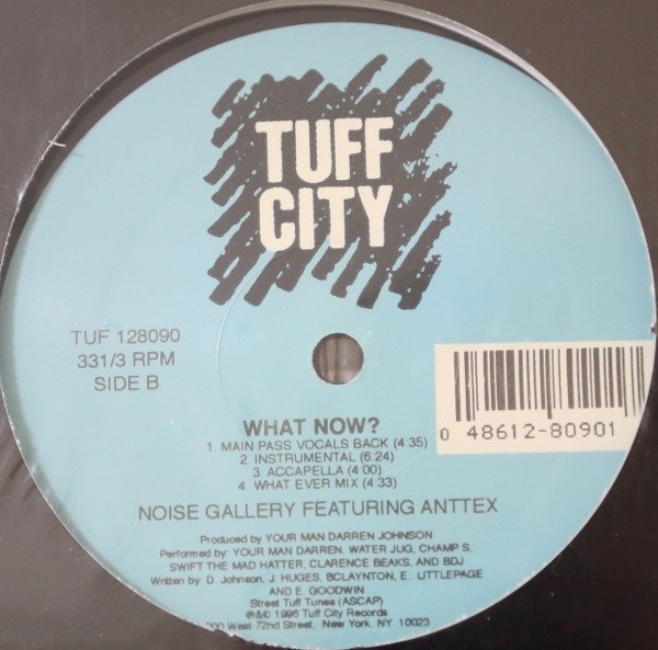 Noise Gallery feat Anttex - Cant keep doing that (4 mixes)/What now ? (4 mixes)  12" Vinyl Record