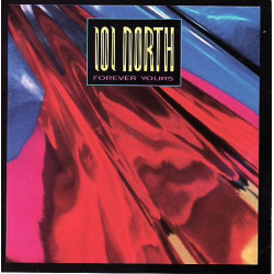 101 North - Forever yours LP featuring Living in somebodys dream / Forever yours / I wish that love would last / Somewhere somet