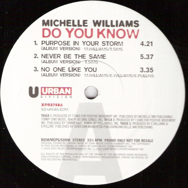 Michelle Williams - Do you know LP Sampler featuring Purpose in your storm / Never be the same / No one like you / The incident
