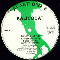 Kalicocat - B Flat Shuffle (Finger Pickin Good / Slap A Pop Mix / Bump N Grind Mix / Cidneys Solution)
