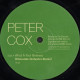 Peter Cox - What A Fool Believes (Chocolate Orchestra Remix / C O Inst)  Cover of Doobie Brothers Classic (12" Vinyl Record)
