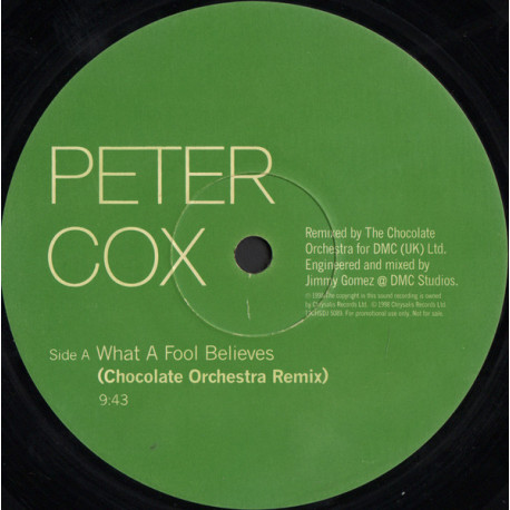 Peter Cox - What A Fool Believes (Chocolate Orchestra Remix / C O Inst)  Cover of Doobie Brothers Classic (12" Vinyl Record)