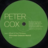 Peter Cox - What A Fool Believes (Chocolate Orchestra Remix / C O Inst)  Cover of Doobie Brothers Classic (12" Vinyl Record)