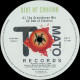 Riot Of Emotion - Riot Of Emotion (Greenhouse Mix / Dub / City Of Angels Mix / Deep Dub Emotion) 12" Vinyl Record