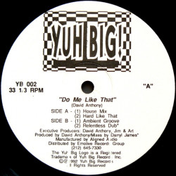 David Anthony - Do Me Like That (House Mix / Hard Mix / Ambient Groove / Dub) 12" Vinyl Record