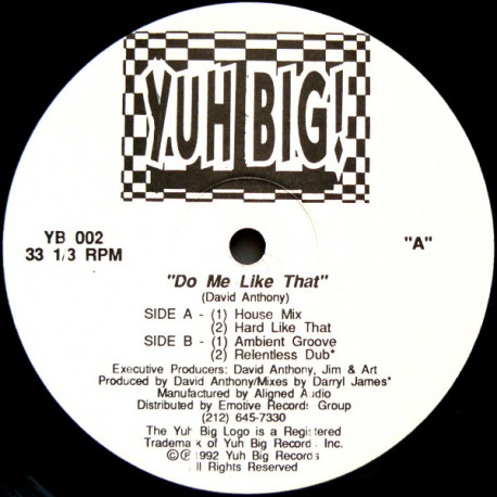 David Anthony - Do Me Like That (House Mix / Hard Mix / Ambient Groove / Dub) 12" Vinyl Record