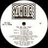 David Anthony - Do Me Like That (House Mix / Hard Mix / Ambient Groove / Dub) 12" Vinyl Record