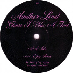 Another Level - Guess I Was A Fool (Opaz Remix / Blacksmith R&B Rub) 12" Vinyl Promo