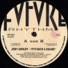 Jody Ashley - Its Such A Shame (Club Mix / Jazz Mix / Sax In Down / Radio Mix) 12" Vinyl Record