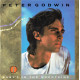 Peter Godwin - Babys In The Mountains (New York Remix) / Soul Of Love (12" Vinyl Record)