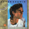 Peter Godwin - Babys In The Mountains (New York Remix) / Soul Of Love (12" Vinyl Record)