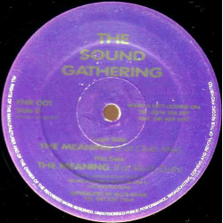 Sound Gathering – The Meaning (Fat Club Mix / Fat Rock Dub) 12" Vinyl Record