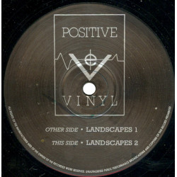 Mendel's Discoveries – Landscapes 1 / Landscapes 2 (12" Vinyl Record)