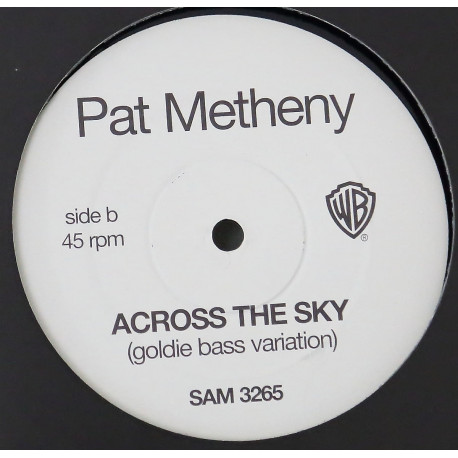 Pat Metheny - Across the sky (2 Goldie mixes) Vinyl Promo