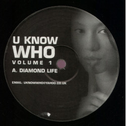 Julie McKnight - Diamond Life (Richard Earnshaw Remix) / Alicia Keys - Falling (Richard Earnshaw Remix)