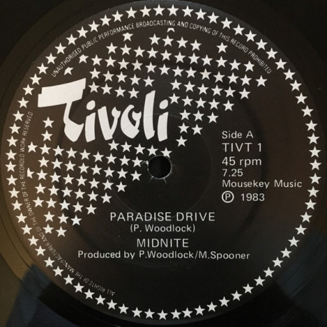 Midnite - Paradise Drive / Dont Come Easy (feat Jill Saward On Vocals)  12" Vinyl Record