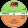 Narada Michael Walden - I Want You / Get Up (12" Vinyl Record)
